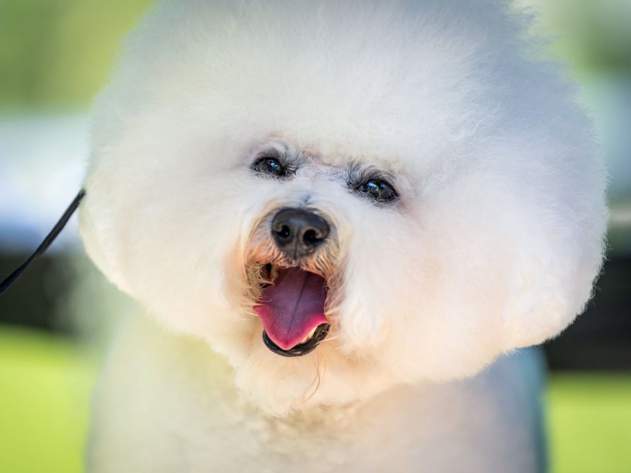 Behind the Badge, Part 2